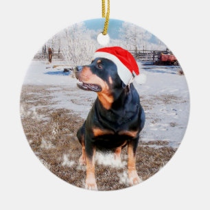 Prydnad för helgdag för Rottweiler snöjul Julgransprydnad Keramik