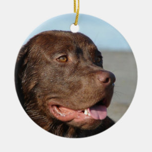 Prydnad för hund för chokladLabrador Retriever Julgransprydnad Keramik