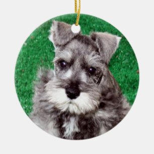Prydnad för hund för miniatyrSchnauzervalp Julgransprydnad Keramik