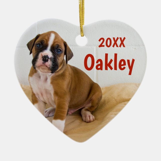 Prydnad för hund för två jul för hundar julgransprydnad keramik (Framsidan)