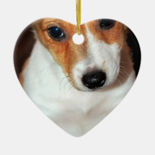 Prydnad för hund för valp för jackRussell Terri Julgransprydnad Keramik