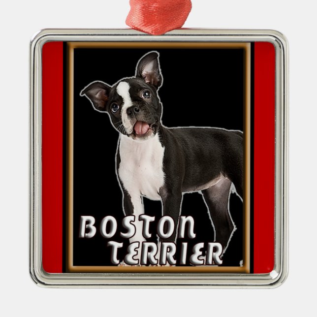 PRYDNAD FÖR JUL FÖR BOSTON TERRIER HÖGVÄRDIG JULGRANSPRYDNAD METALL (Framsidan)