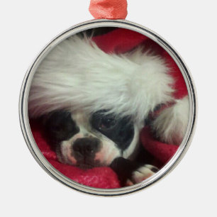 Prydnad för jul för Boston terrier (vakna) Julgransprydnad Metall