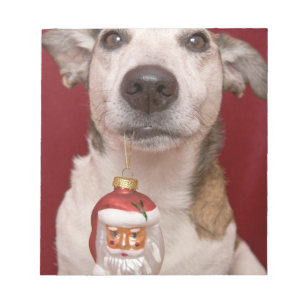 Prydnad för jul för jackRussell Terrier hålland Anteckningsblock