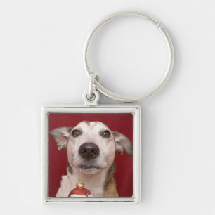 Prydnad för jul för jackRussell Terrier hålland Fyrkantig Silverfärgad Nyckelring