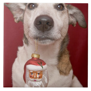 Prydnad för jul för jackRussell Terrier hålland Kakelplatta