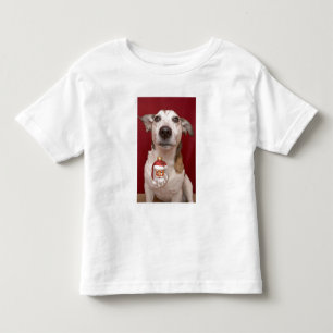 Prydnad för jul för jackRussell Terrier hålland Tröja