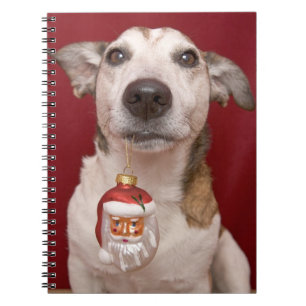 Prydnad för jul för jackRussell Terrier hållande Anteckningsbok Med Spiral