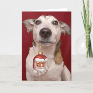 Prydnad för jul för jackRussell Terrier hållande Helgkort