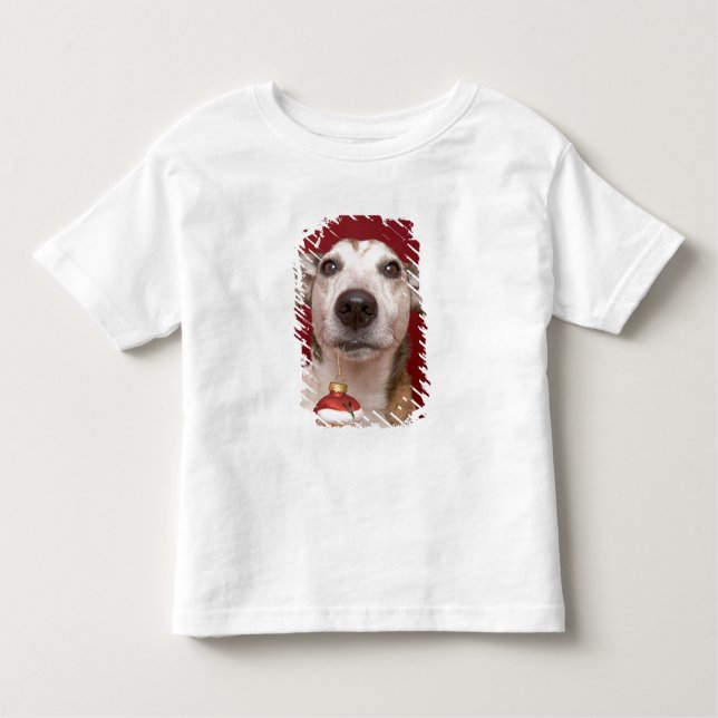 Prydnad för jul för jackRussell Terrier hållande T Shirt (Framsida)