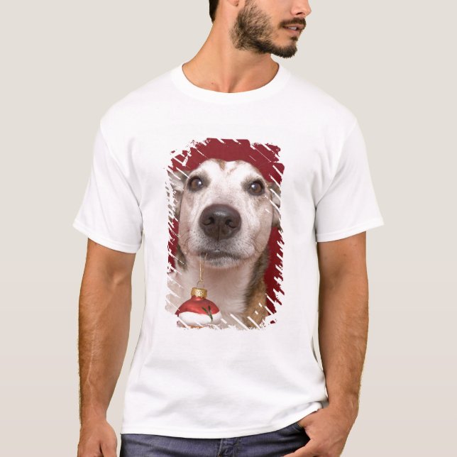 Prydnad för jul för jackRussell Terrier hållande T-shirt (Framsida)