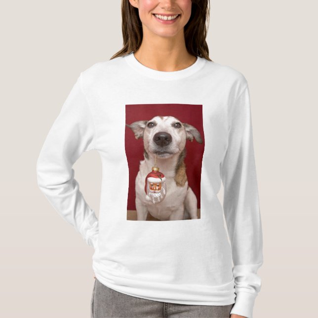 Prydnad för jul för jackRussell Terrier hållande Tee Shirt (Framsida)