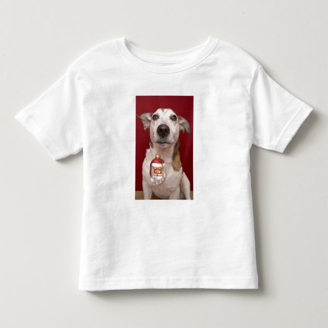 Prydnad för jul för jackRussell Terrier hållande Tröja (Framsida)