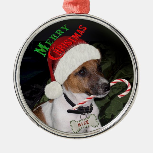 Prydnad för jul för jackRussell Terrier Julgransprydnad Metall (Framsidan)