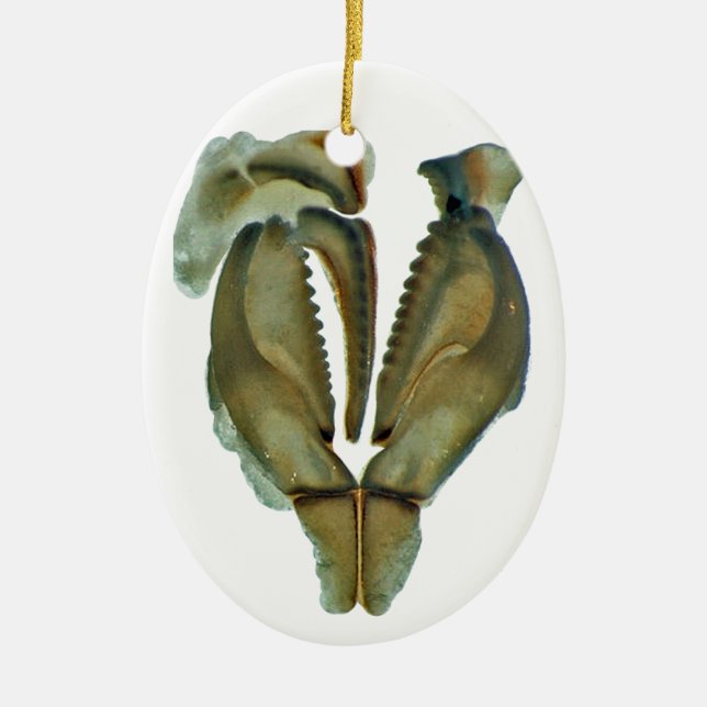 Prydnad för jul för maskkäke oval julgransprydnad keramik (Framsidan)