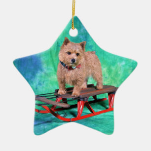 Prydnad för jul för Norwich Terrier Julgransprydnad Keramik