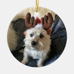 Prydnad för jul för röseTerrier"ren" Julgransprydnad Keramik