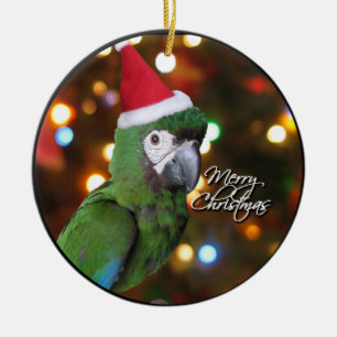 Prydnad för Santa sträng Macawjul Julgransprydnad Keramik