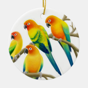 Prydnad för solConure papegojor Julgransprydnad Keramik