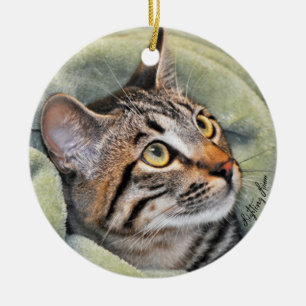 Prydnad för Tabby för grå färg för silver fö Julgransprydnad Keramik