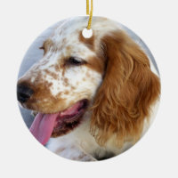 Prydnad för valp för SpringerSpaniel