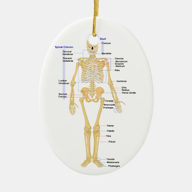 Prydnad för vetenskapslärarejul julgransprydnad keramik (Framsidan)