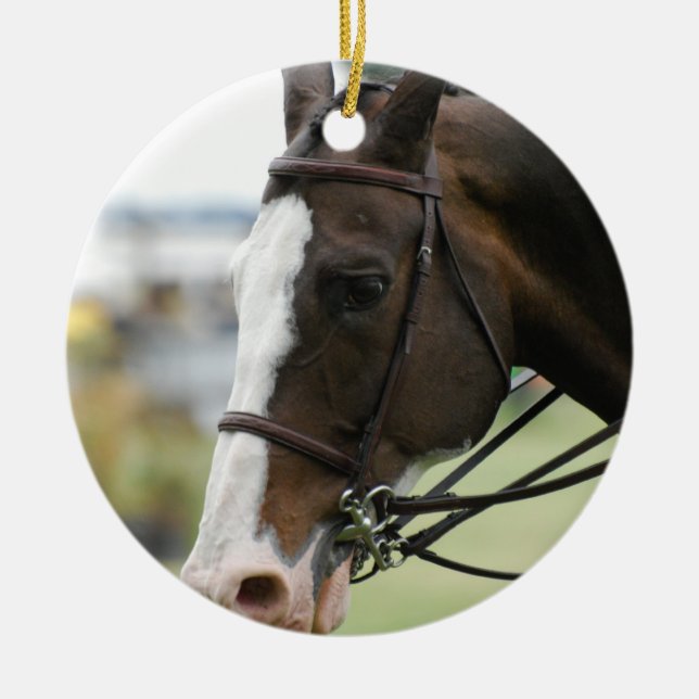 Prydnad för Warmblood hästfoto Julgransprydnad Keramik (Framsidan)