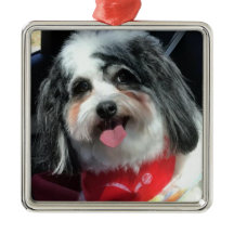 Prydnad jul, röd hund K-Cee