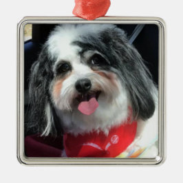 Prydnad jul, röd hund K-Cee Julgransprydnad Metall