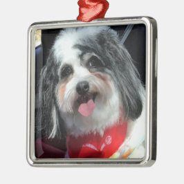Prydnad jul, röd hund K-Cee Julgransprydnad Metall