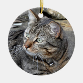 Prydnad: Tabby katt Julgransprydnad Keramik