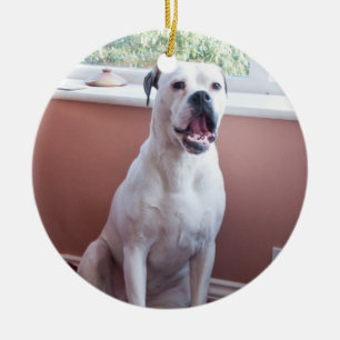 Prydnad: Vitboxarehund Julgransprydnad Keramik