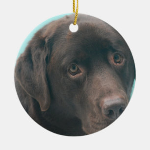 Prydnadar för chokladlabbhund julgransprydnad keramik