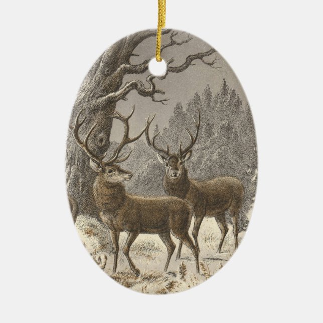 Prydnadar för jul för Buch derbård Julgransprydnad Keramik (Framsidan)