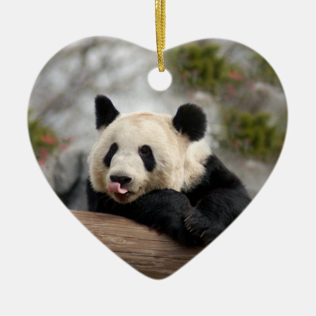 Prydnadar för Pandabjörnjul Julgransprydnad Keramik (Framsidan)