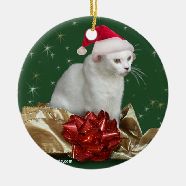 Prydnaden för Christms katthelgdag Julgransprydnad Keramik (Framsidan)