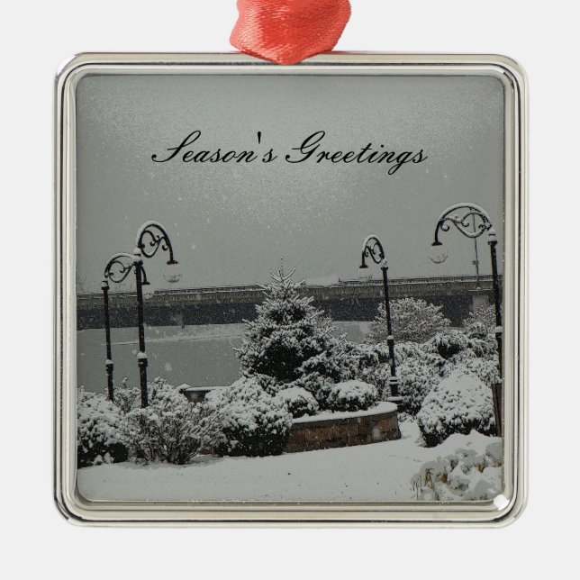 Prydnadflodstranden parkerar julgransprydnad metall (Framsidan)