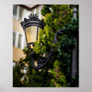 Prydnads Svart Gjutjärns Gatlykta Poster