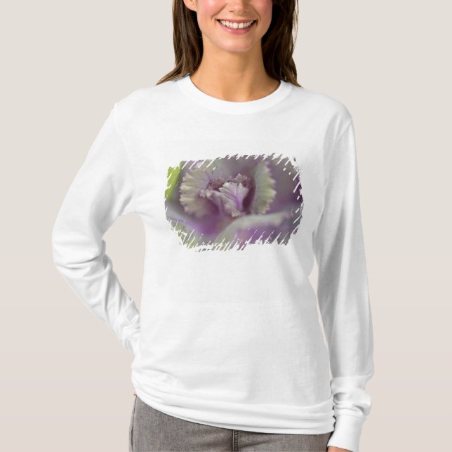 Prydnadskål T Shirt (Framsida)