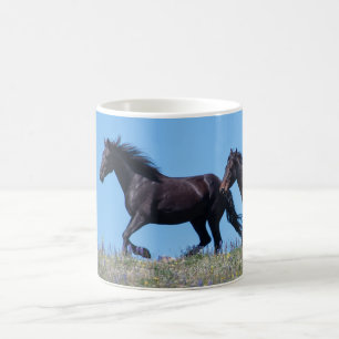 Pryor Mountain Vild Mustang Coffee Mugg