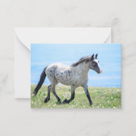 Pryor Mountain Vild Mustang Mica/Mato Ska Anteckningskort