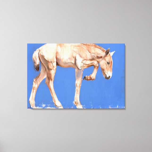 Przewalski Foal 2012 Canvastryck (Framsida)