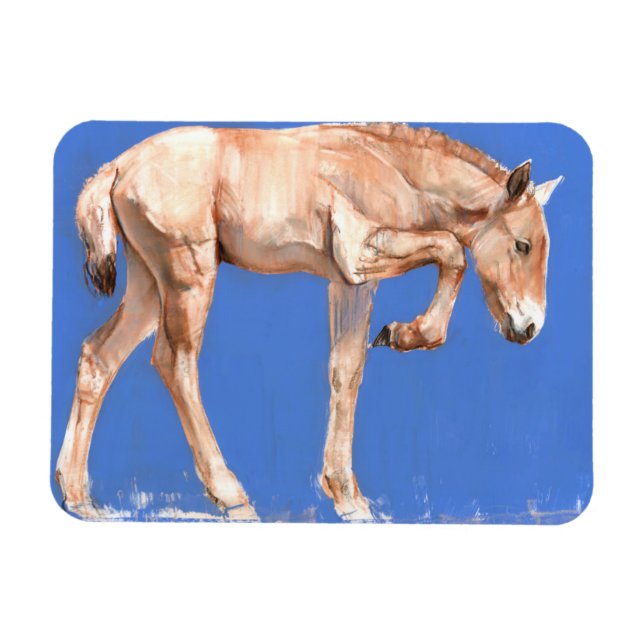 Przewalski Foal 2012 Magnet (Horisontell)