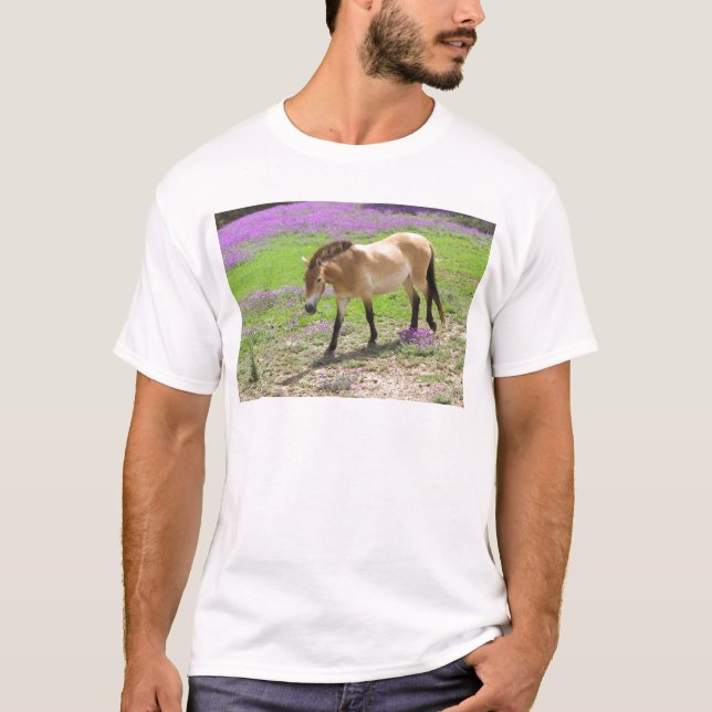 Przewalski häst t shirt (Framsida)
