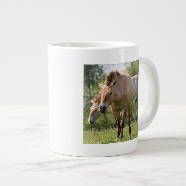 Przewalskis häst och föl som går jumbo mugg (Framsida höger)