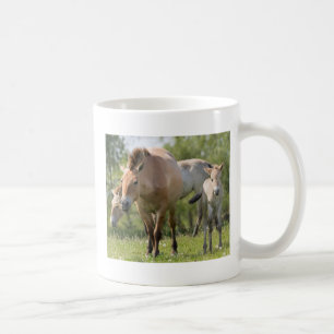 Przewalskis häst och föl som går kaffemugg