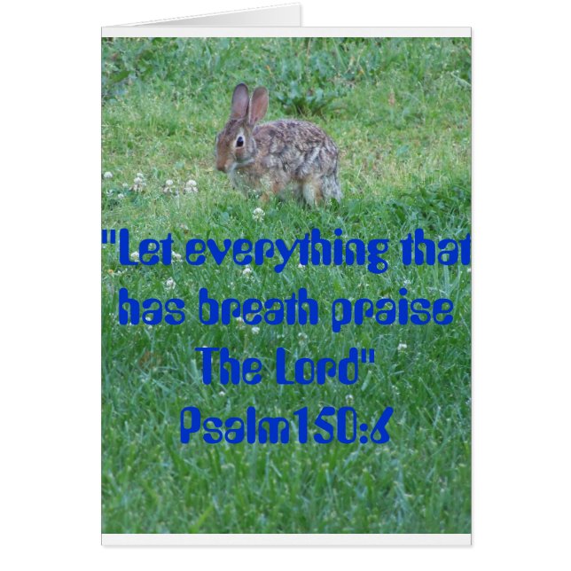 Psalm105:6, nötkreatur OBS kort (Framsidan)