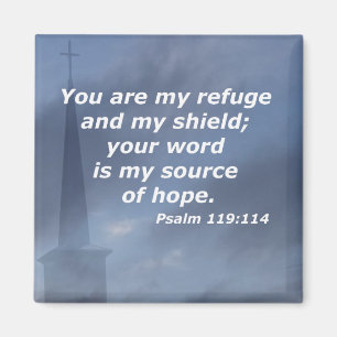 Psalm119:114 Magnet