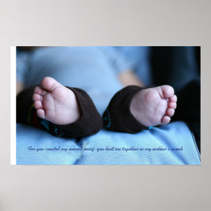 Psalm139:13 Poster
