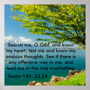 Psalm139:23 - 24 poster